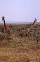 WT 1400 193-12 Kenya